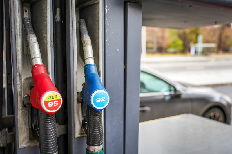    Фото: Roman Naumov/Globallookpress