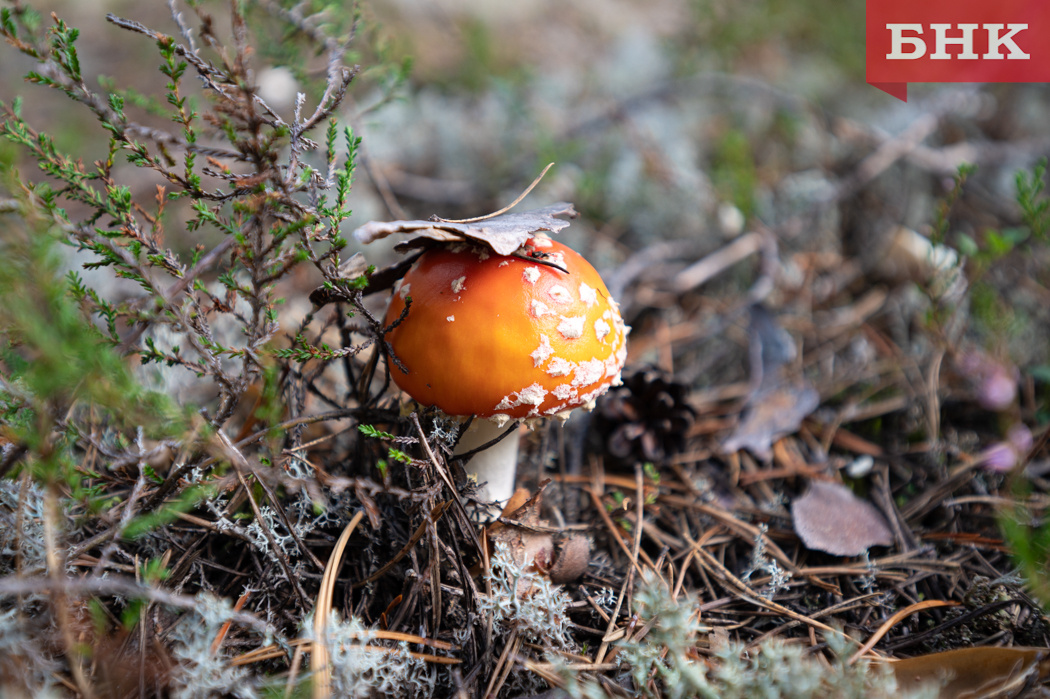 Фото Константина Стратиенко