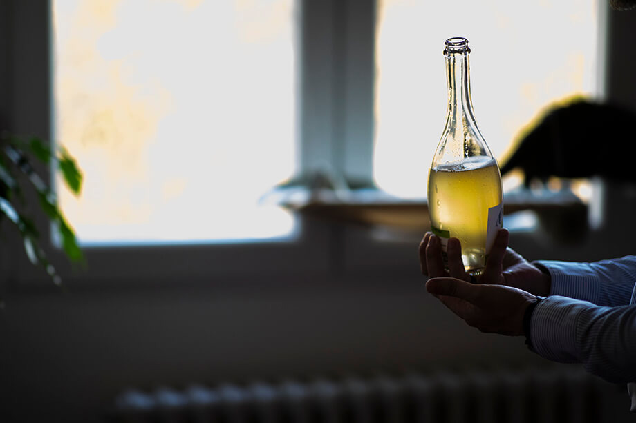 Онлайн-продажи вина должны увеличить спрос, расширить доступность и сократить контрафакт при доставке на дом. | Фото: Максим Конанков/Octagon.Media