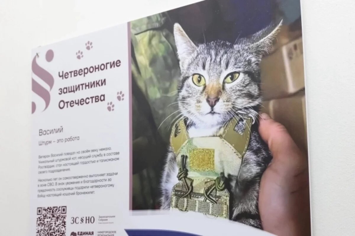    Фотовыставку питомцев бойцов СВО открыли в Нижнем Новгороде