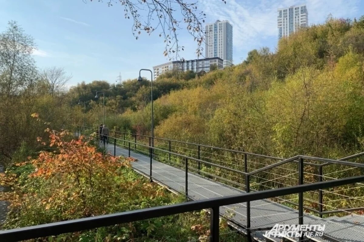    В Перми начался поиск подрядчика для застройки и реновации Разгуляя