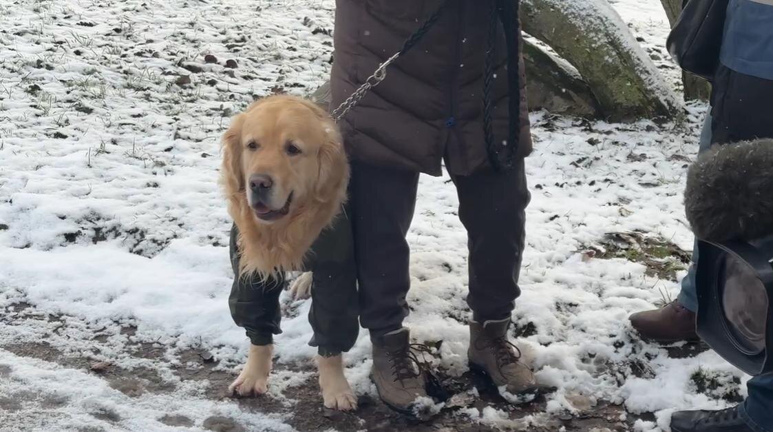 Фото: скриншот видео / https://t.me/spb_zakon