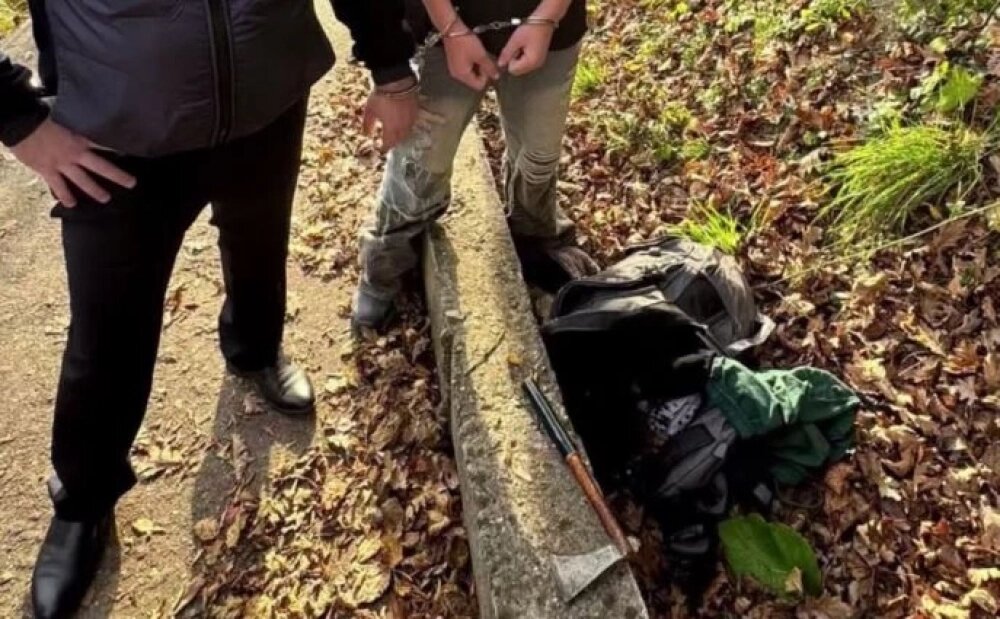    Место, где было спрятано орудие убийства. Фото: кадр видео