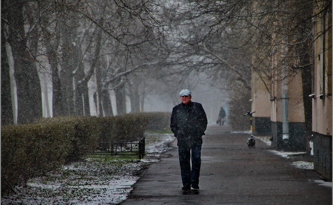    © Анастасия Илюшина / ЛенТВ24. Архивное фото