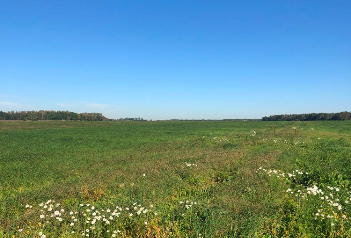 фото: Северо-Западное межрегиональное управление Россельхознадзора