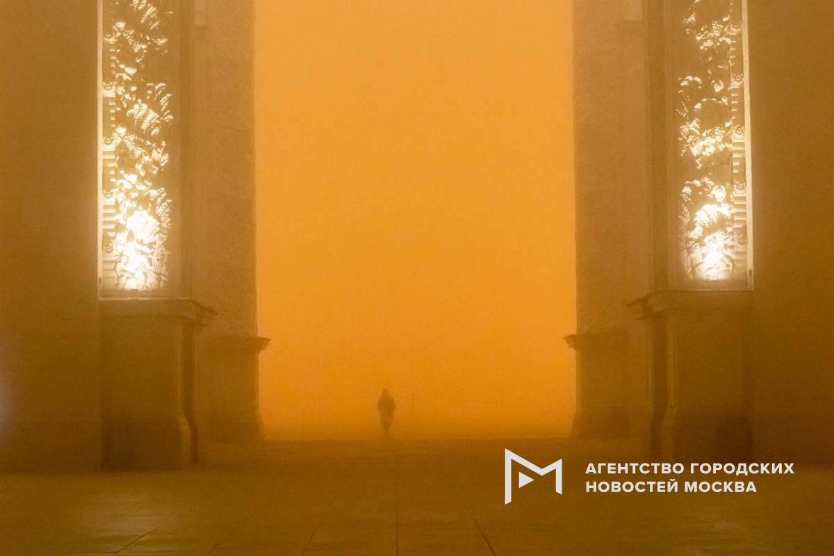 Фотограф: Софья Сандурская