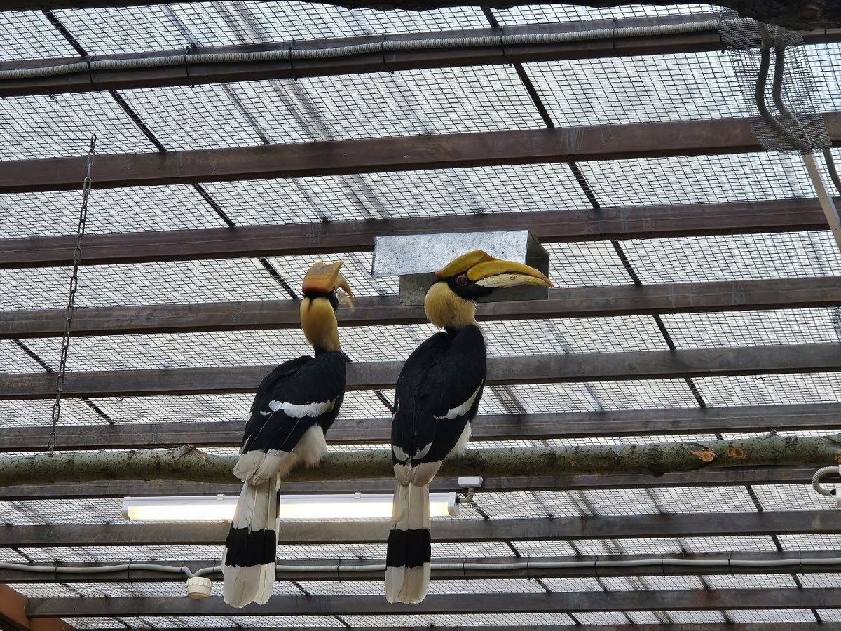 Фото: пресс-служба Ленинградского зоопарка