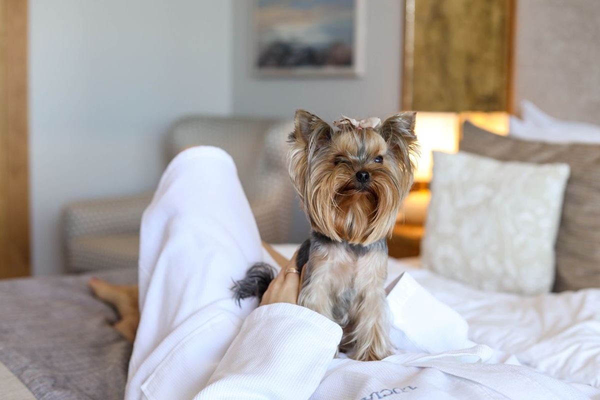 Гостья отеля LUCIANO Wellness & SPA Foros 5* с питомцем
Фото предоставлено отелем