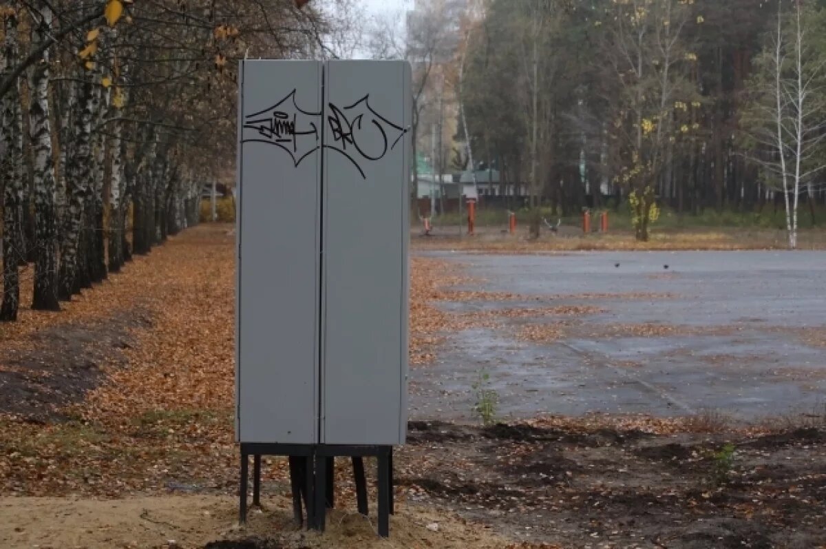    Вандалы и воры орудуют в реконструируемом воронежском «Танаисе»