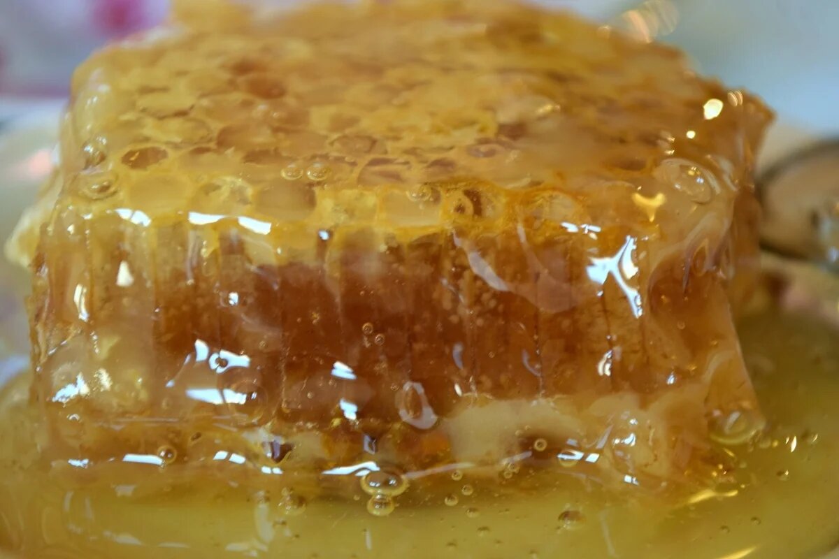 Фото: UfaTime.ru