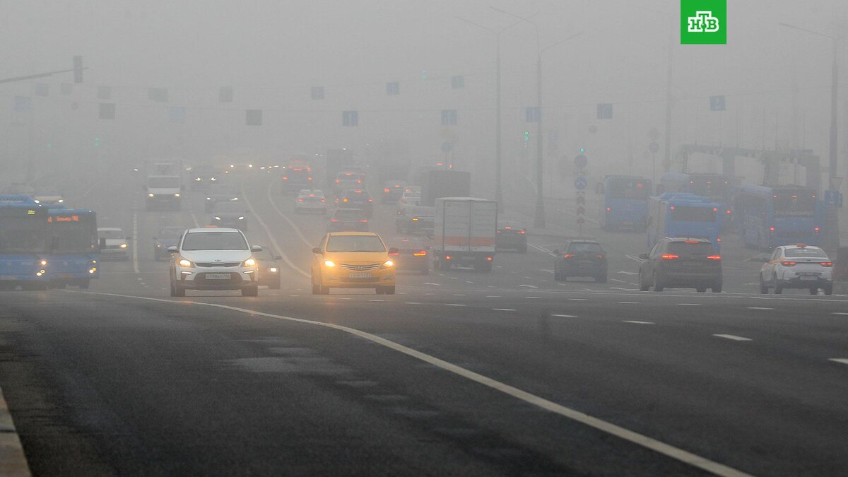    Фото: РИА Новости © 2025, Антон Денисов