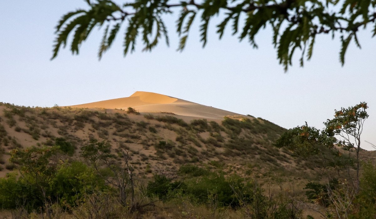 Фото: Валерий Шарифулин/ТАСС
