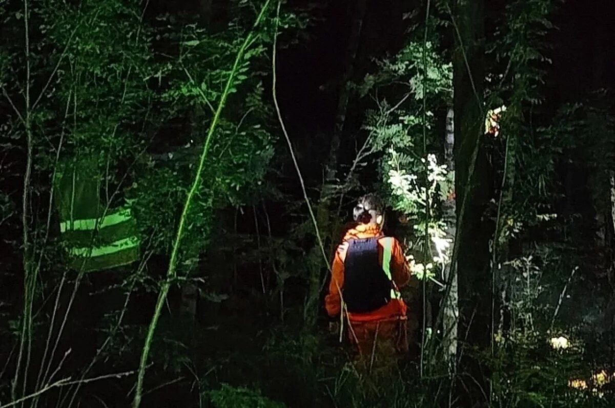    «ЛизаАлерт» в Подмосковье ведет поиски возможной жертвы маньяка