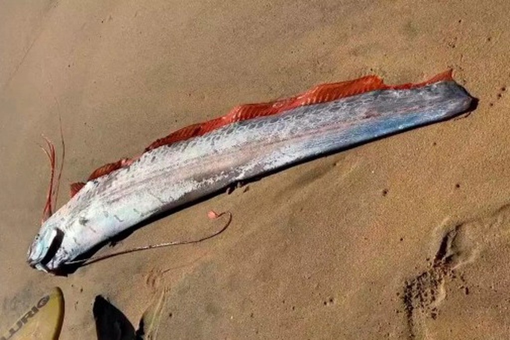    Фото © Instagram (признан экстремистской организацией и запрещён на территории Российской Федерации) / jam.pressjourno