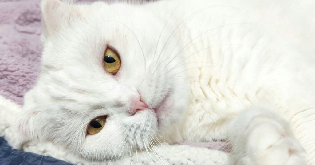 Зимушку никто не замечает