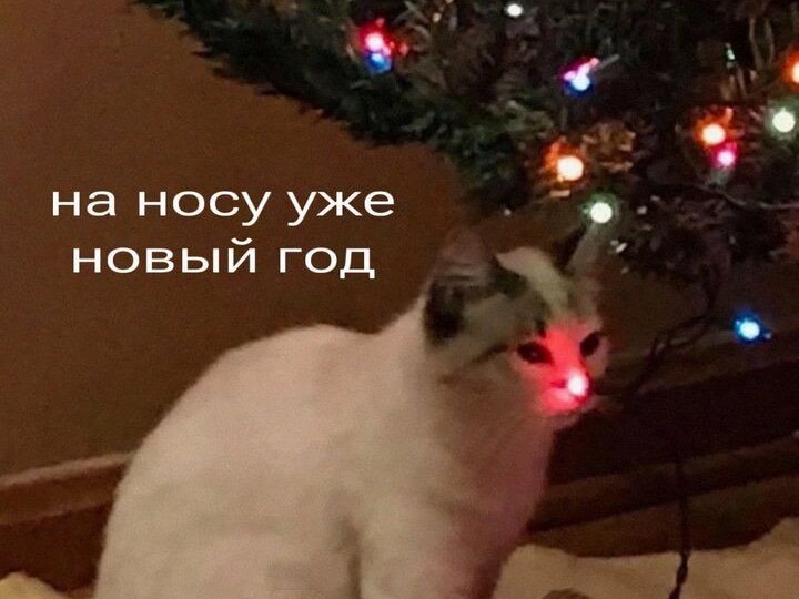 Я не слышу хруст безе.