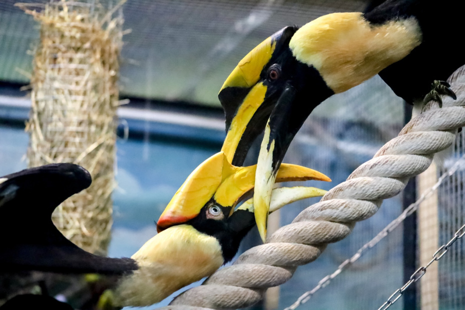    Elena Mayorova/Global Look Press