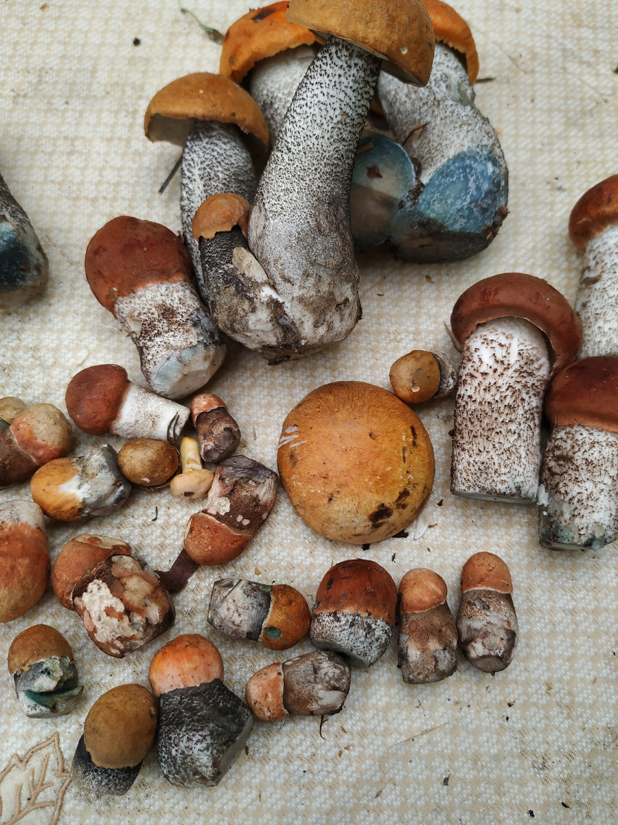 Из личного фотоархива за 2022 год.