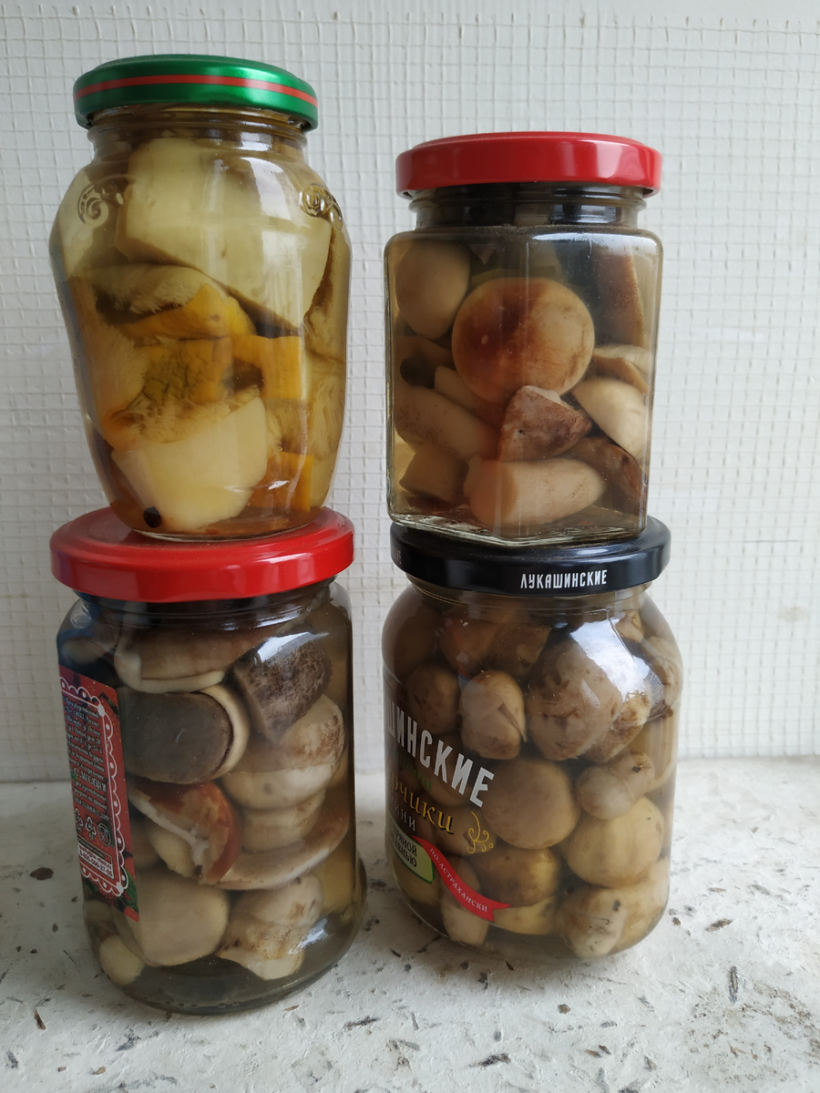 Фото из личного архива 2022г.