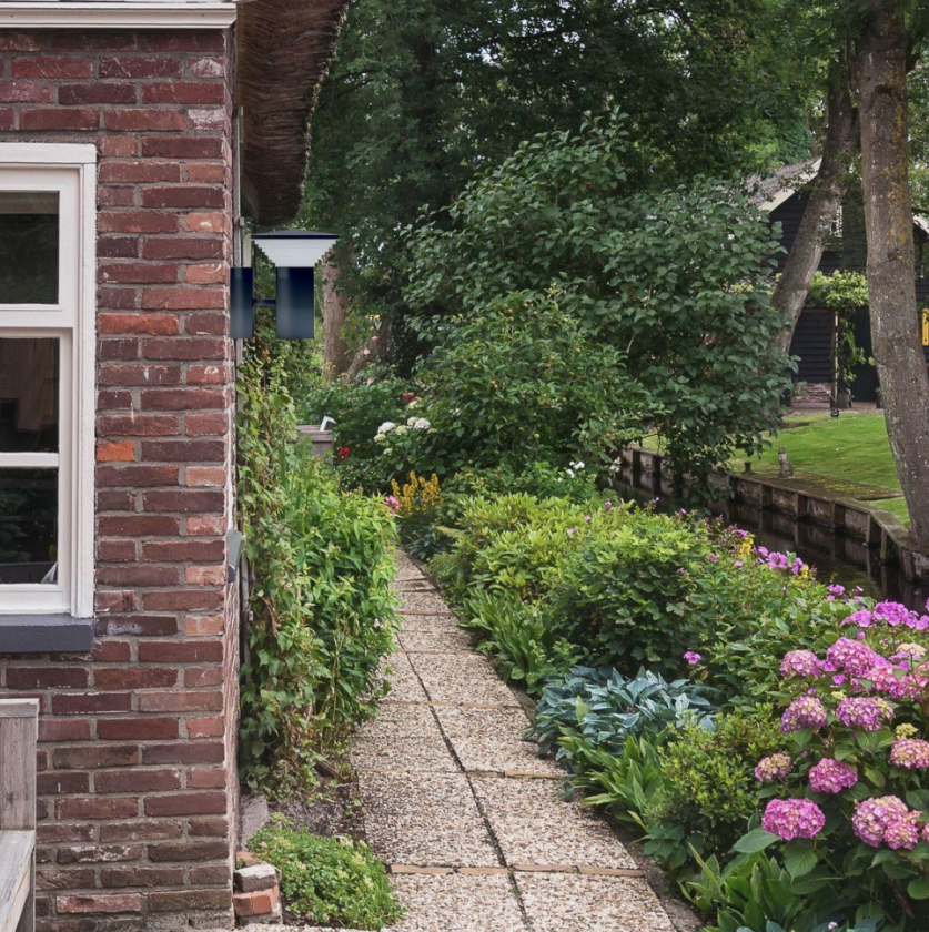 Аллея вдоль дома. Яндекс картинки.