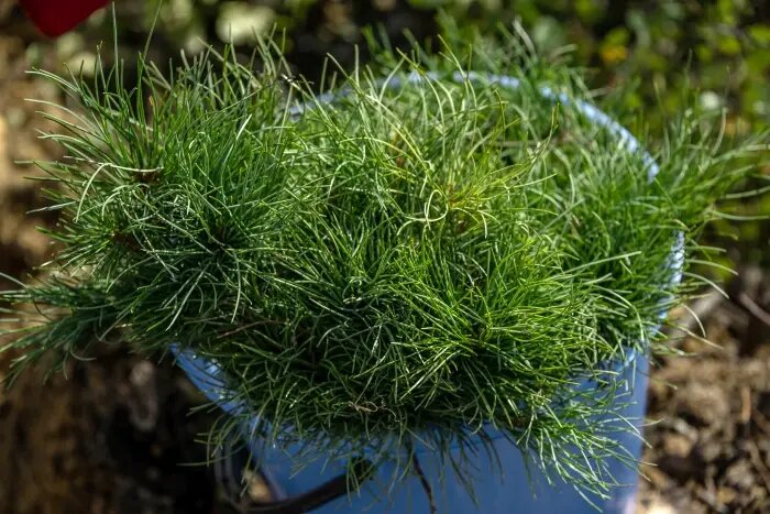     © РИА Новости. Павел Усаченко