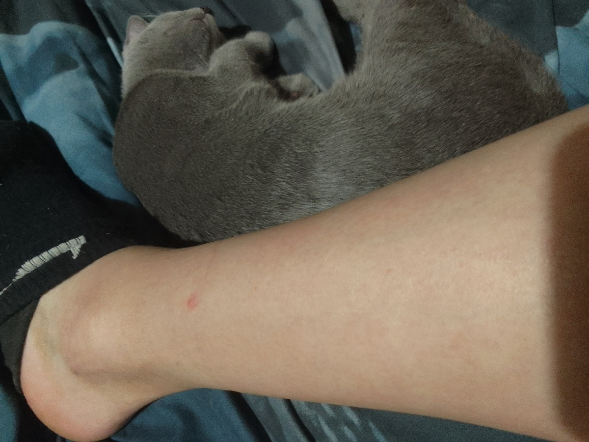 Фото автора. 