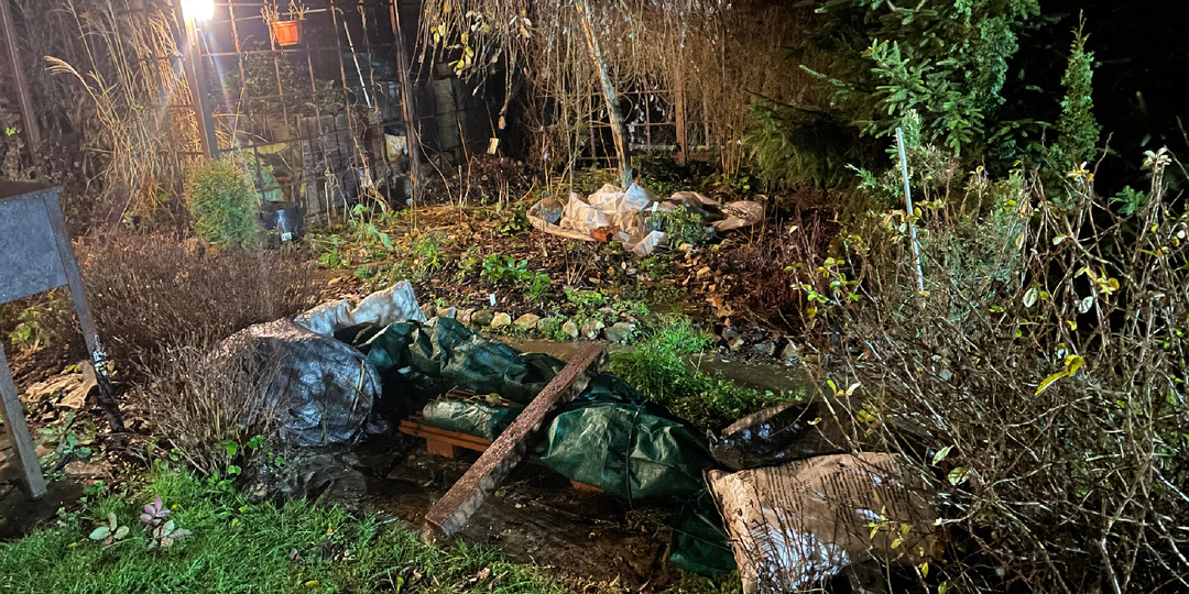 Укрытие плетистых роз