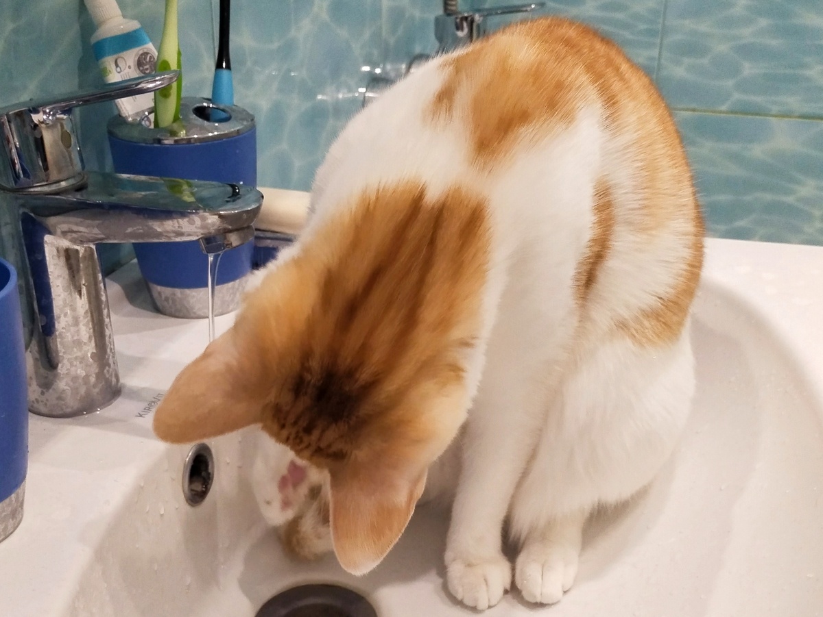 Включаем воду