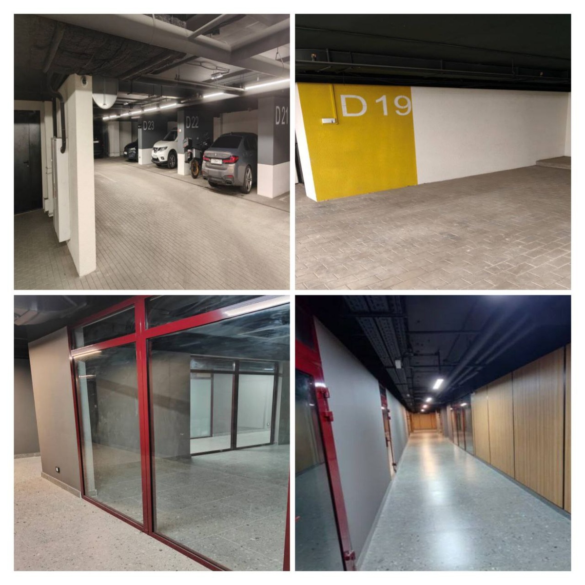 Фото: тгк Александра Хинштейна