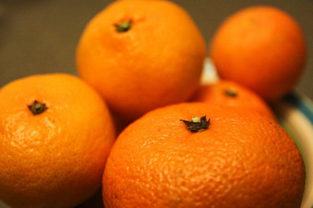   Фото из архива Калининград.Ru