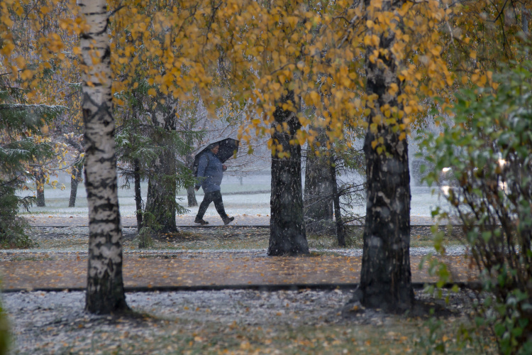    Снега во второй половине ноября так и не дождались, да и, судя по прогнозам, в ближайшее время ожидать его не приходится.   
Фото: «БИЗНЕС Online»