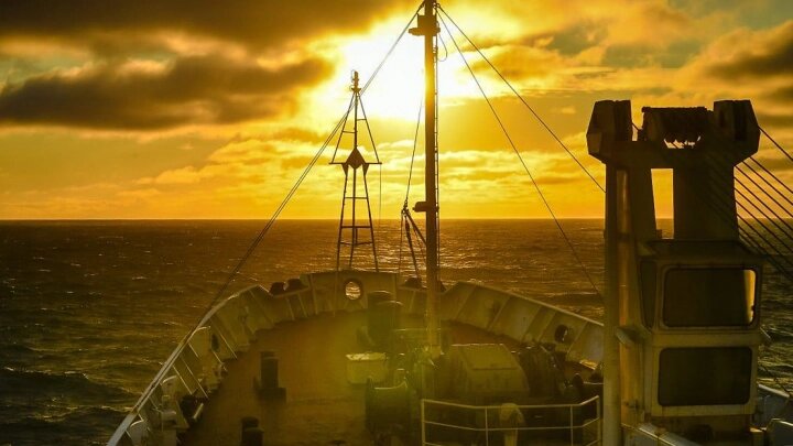 ФОТО: MOD Russia/Globallookpress