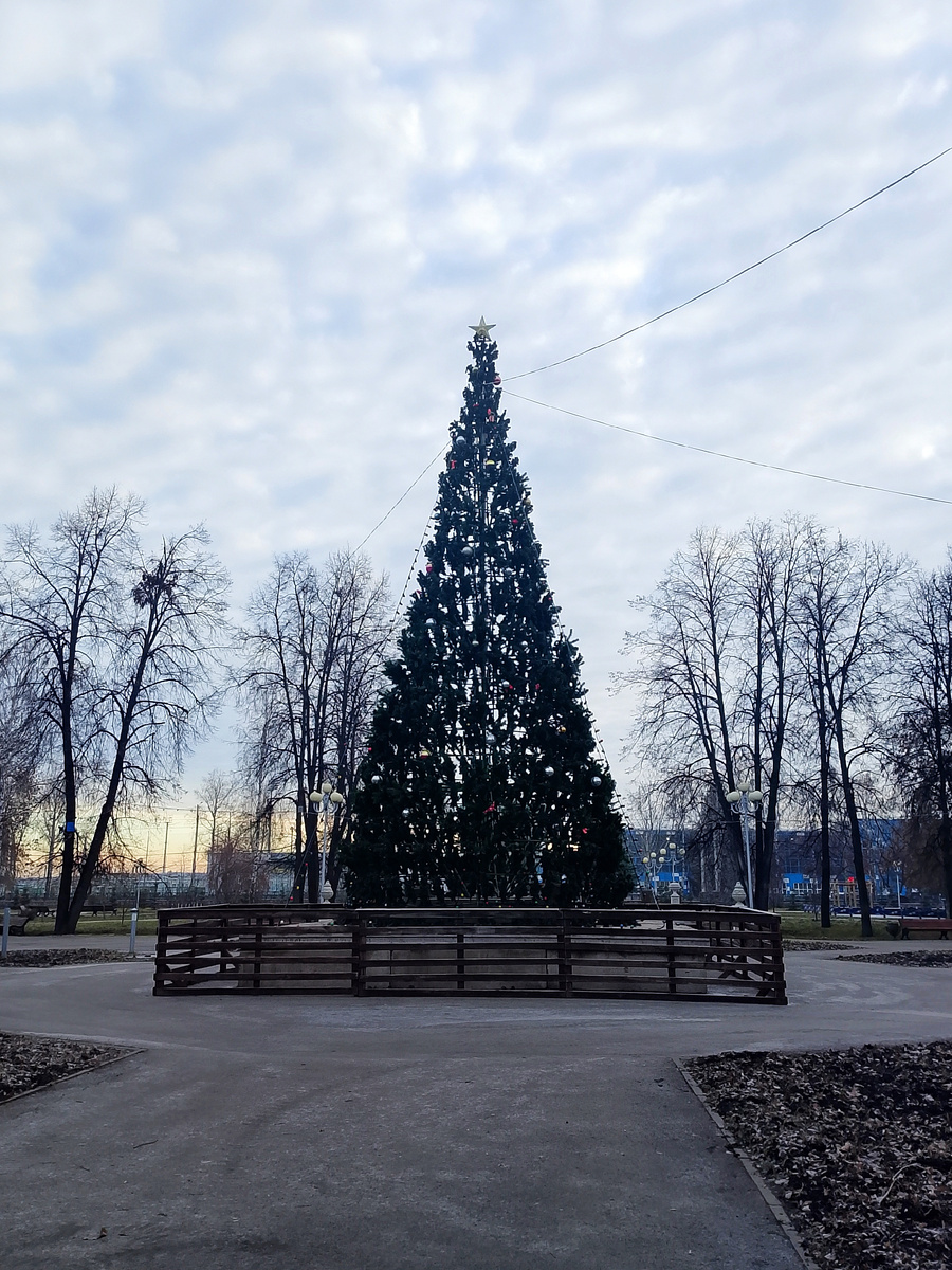 Уже ёлку установили. Без снега выглядит не очень. 