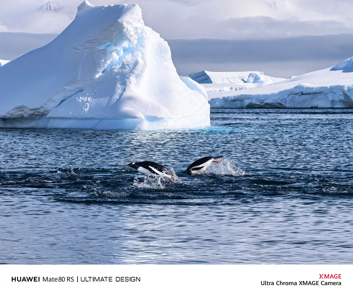 Фото: He Gang  📷
