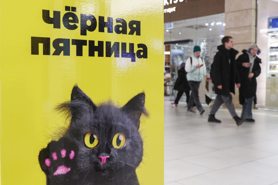    Наталья Шатохина/NEWS.ru