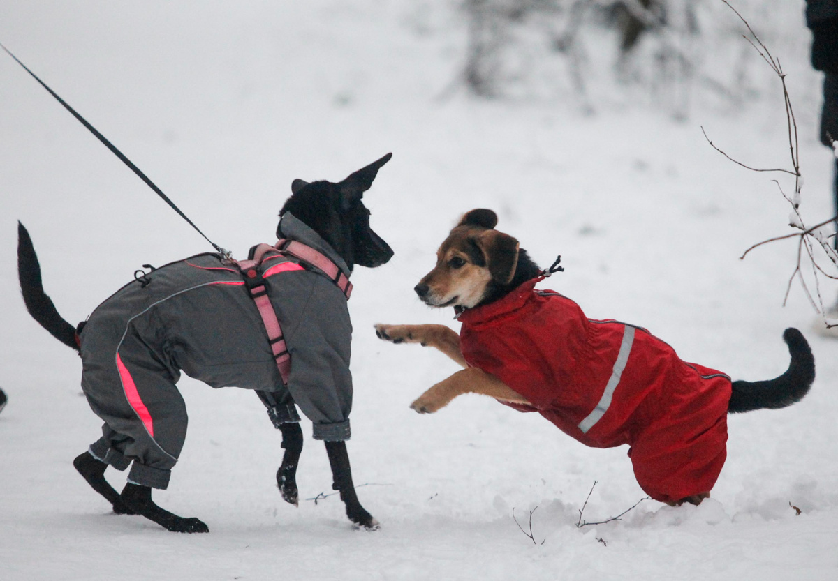 Фото: Наталия Губернаторова