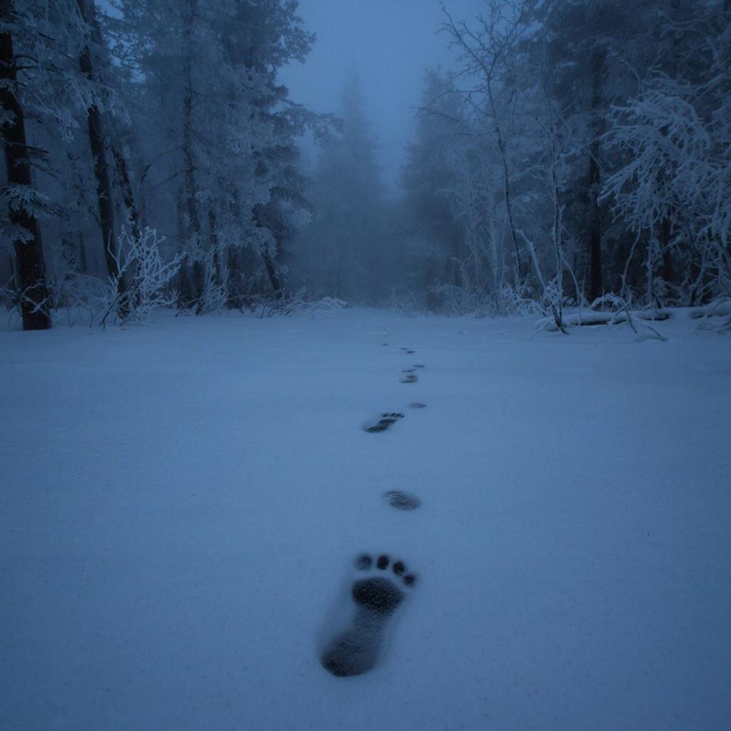 фото сгенирировно нейросетью
