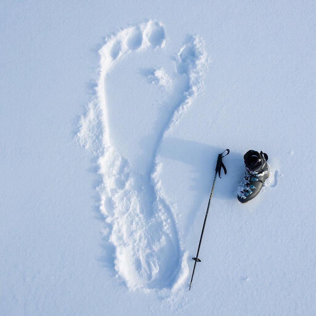 фото сгенирировано нейросетью.