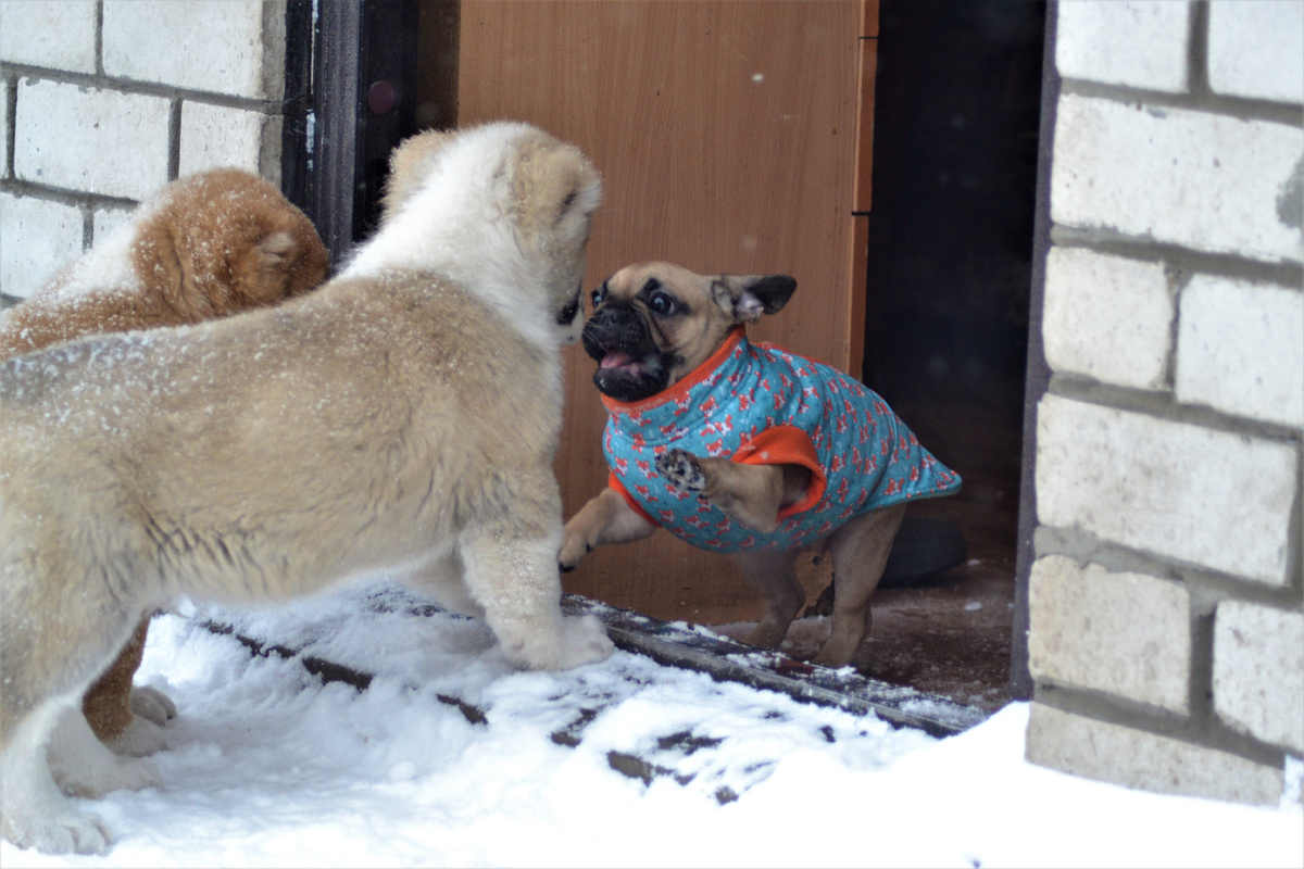 Из архива автора