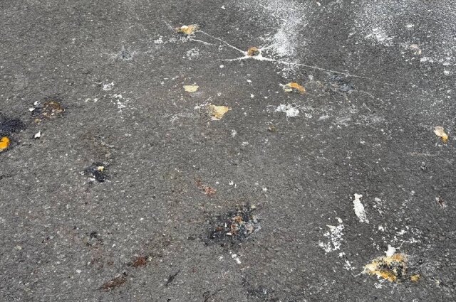    Фото: Записи с камеры видеонаблюдения