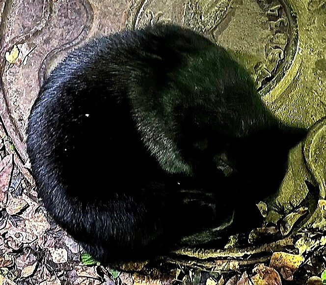 Фото дочери 20.11.2025г.