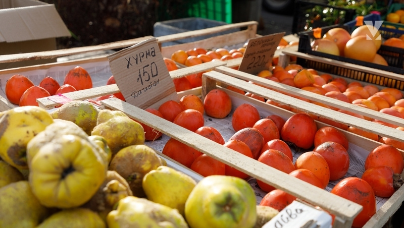      Фото: Дмитрий Ахмадуллин / / ИА «Победа26»