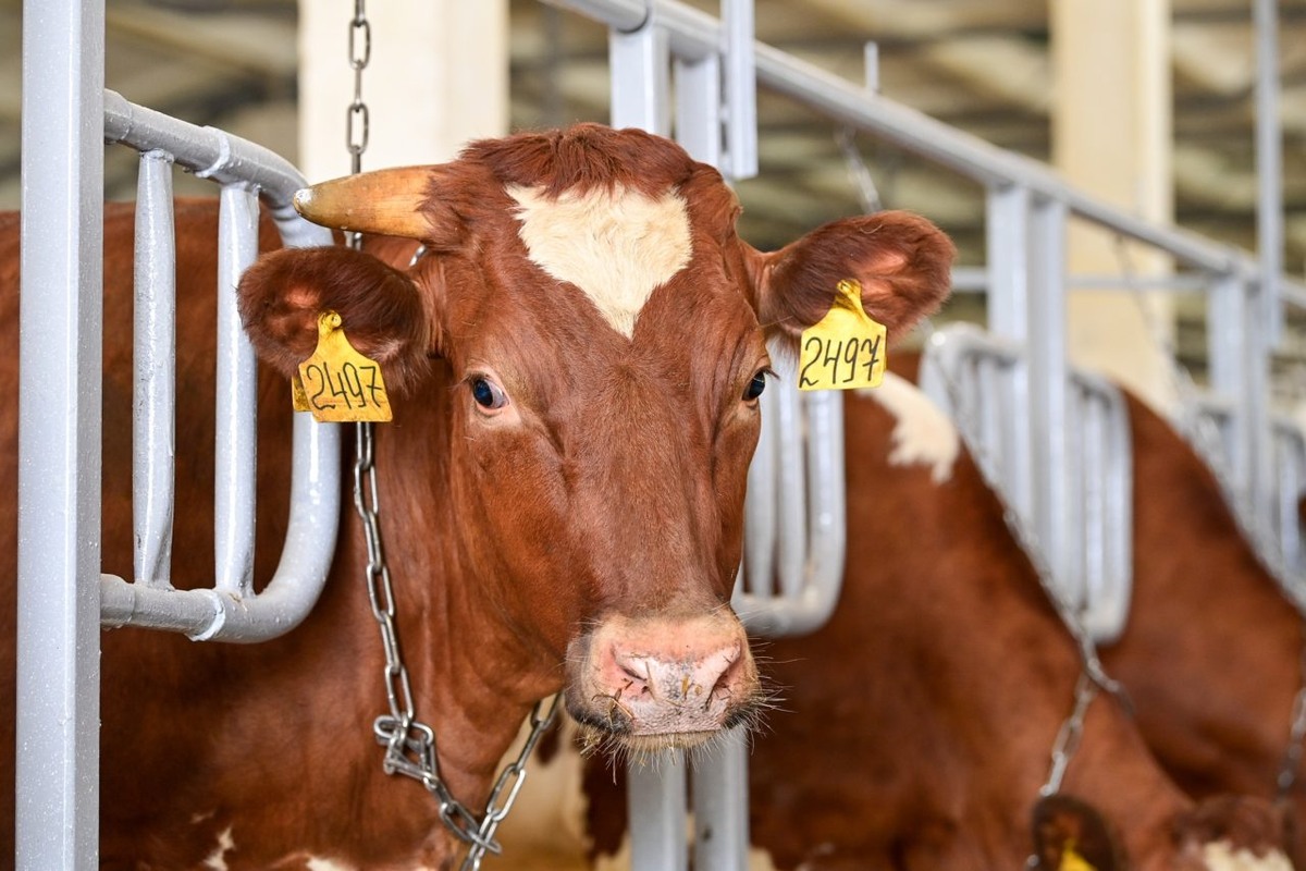    Фото: "Республика"/ Сергей Юдин