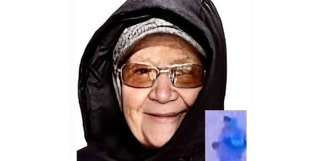 В Ростовской области для поисков пропавшей 91-летней бабушки ищут волонтеров