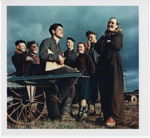 Всеволод Тарасевич /МАММ/МДФ