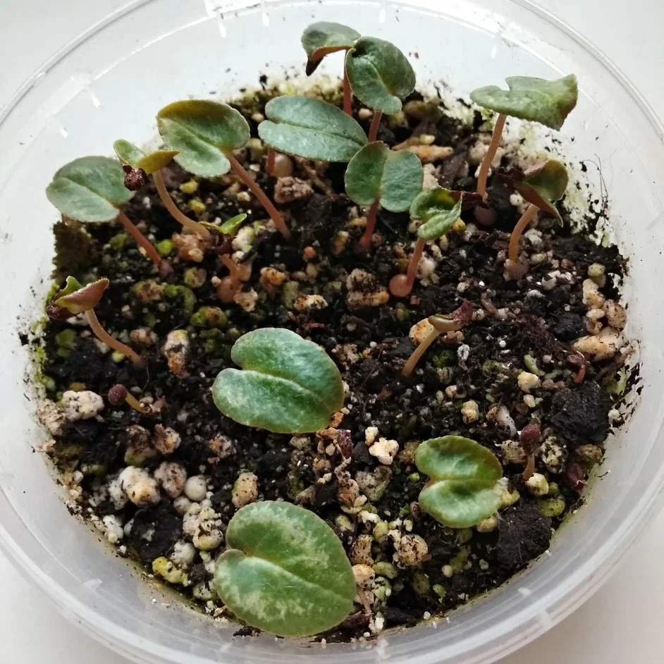 17.07.2024 начало