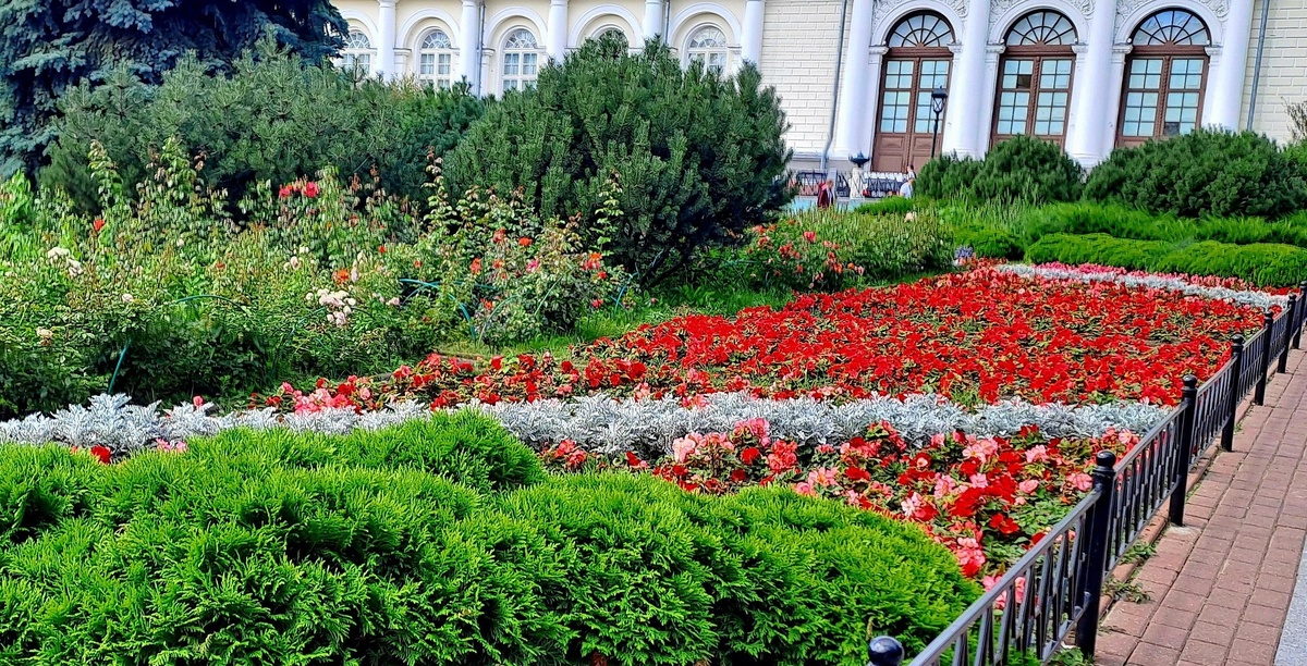 Июль. 2025 год. Александровский сад.