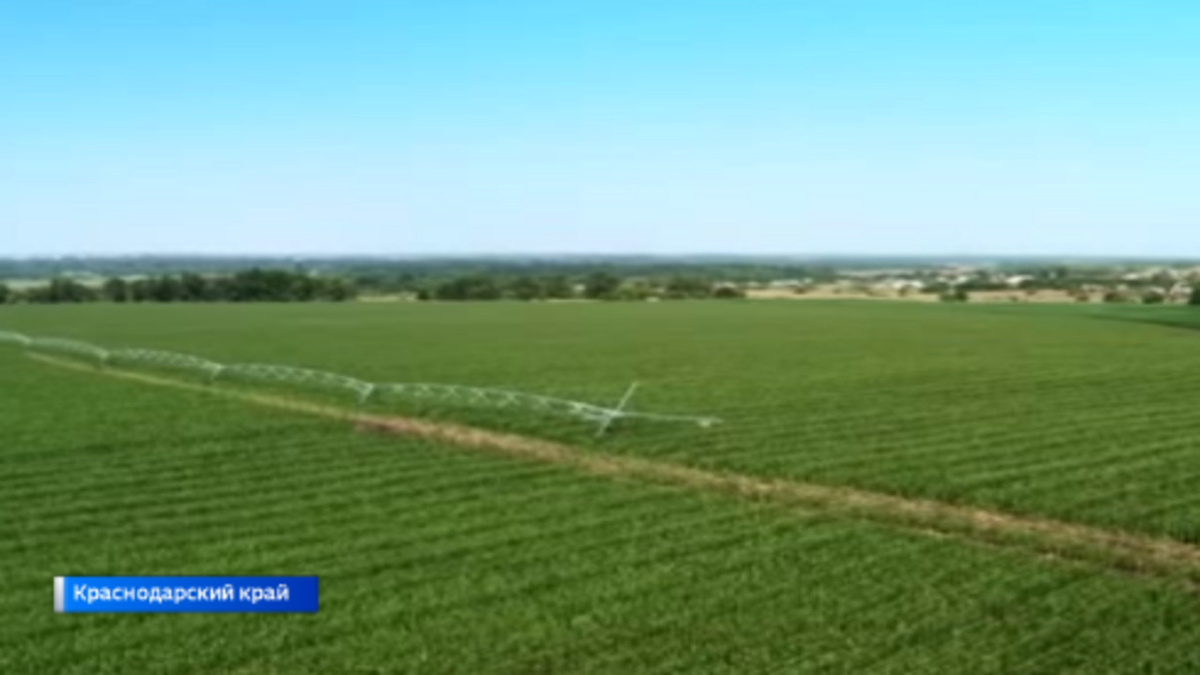    Долгосрочное прогнозирование — основа селекции