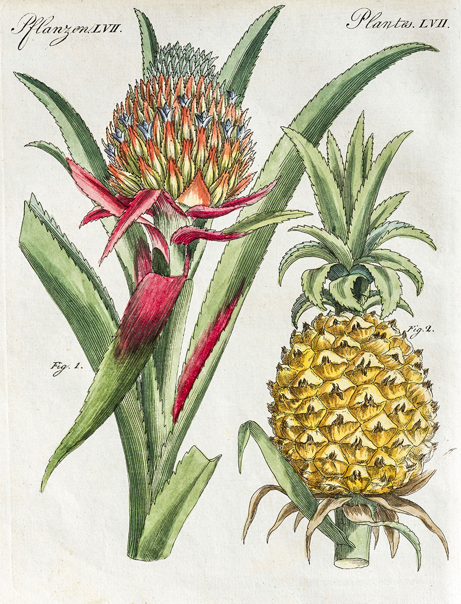 Olaf Kruger / Getty Images