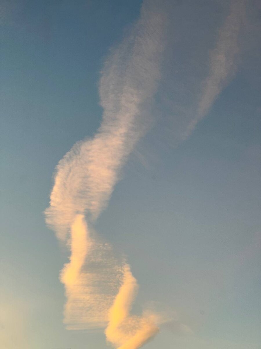 "Из тех прокуренных подъездов аммиаковых
Я мечтаю взойти по лестнице Иакова"(с) Самому не верится, что это увидел.